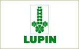 Lupin